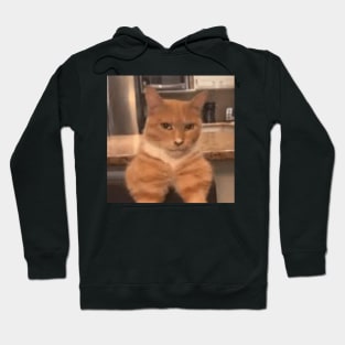 mewing meme looksmax cat funny Hoodie